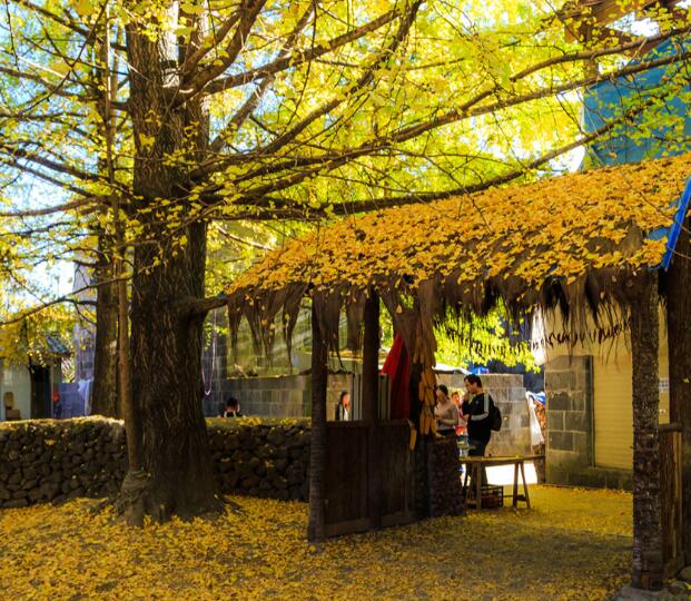 2020秋天最适合旅游的城市 我国秋色最美的地方