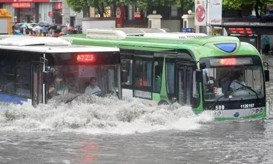 新加坡多地遭遇暴雨袭击 多棵大树被吹倒现场狼藉