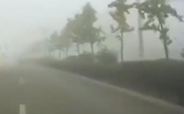 新疆和布克赛尔发布大雾黄色预警 能见度小于500m出行小心