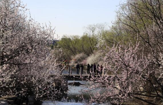 北京城依旧晴暖气温回升至15℃ 天干物燥市民需注意用火用电安全