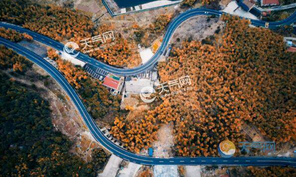 11月天津旅游哪里好玩 11月天津好玩景美的地方