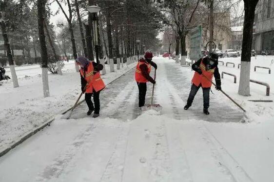 哈尔滨宝泉岭城区普降大雪 300余名环卫工人紧急除雪