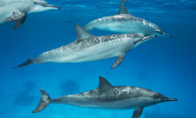 11月北海旅游哪里好玩 11月去北海旅游值得一去的景点