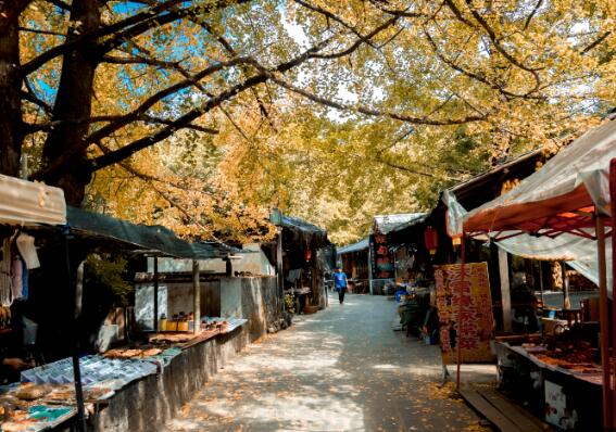 秋末旅游去哪里好 晚秋我国景色最美的地方