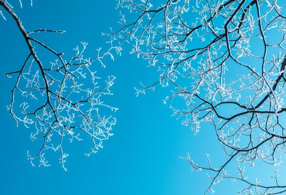 2021年三伏天和三九天时间表 2021三伏天和三九天从什么时候开始