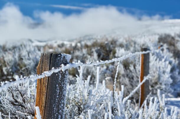 2021年三九天从什么时候开始算 2021年几号进入三九天