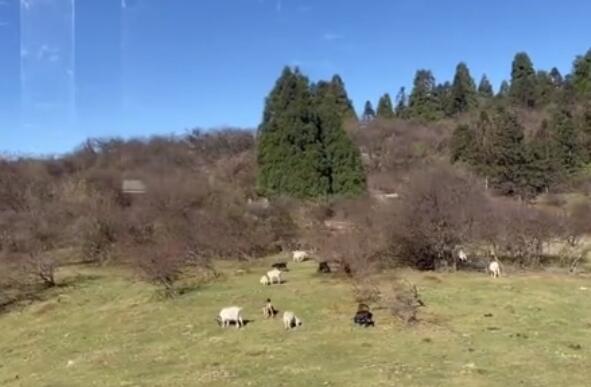 山城是哪个城市的雅号 山城是指我国哪座城市