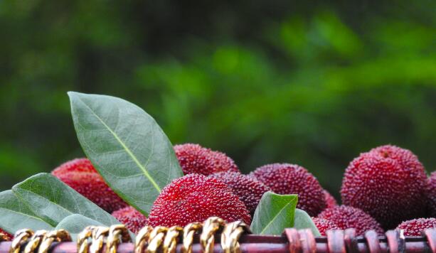 余姚属于哪个市 余姚市在哪个省哪个市