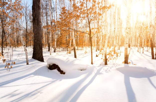 2021交冬数九从哪一天开始 今年什么时间开始数九