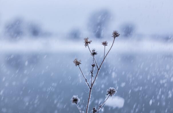 2021数九寒天从什么时候开始什么时候结束 2021数九是从哪天到哪天