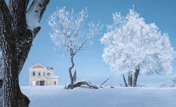 2021数九寒天从什么时候开始什么时候结束 2021数九是从哪天到哪天