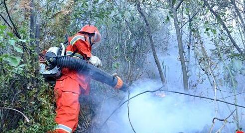 广东肇庆市羚羊峡突发山火 目前暂无人员伤亡报告