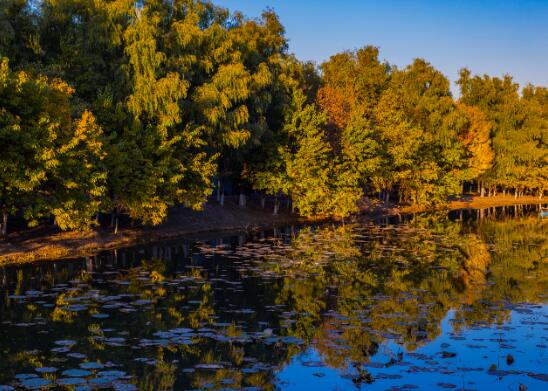 11月下旬北京哪里风景好 11月下旬北京旅游风景最佳去处