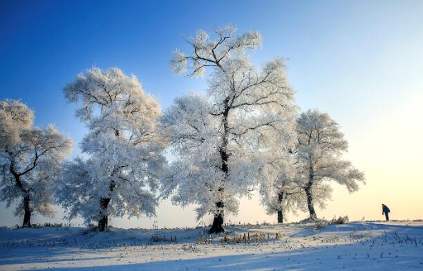 冬天去东北哪里旅游好 冬季东北游玩最佳去处