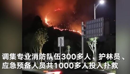 广东肇庆端州区羚山发生山火 市消防投入1000多人彻夜扑救