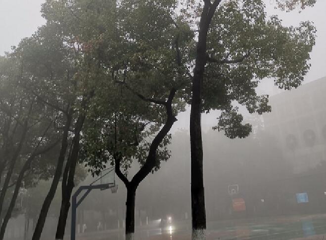 河南因降雨大雾多条高速交通管制 部分路段禁止货车上站