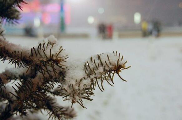 暴雪预警升级为橙色最新消息今天 这几个省份积雪深度可达15厘米