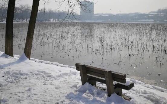 南方雪重还是北方雪重是怎么回事 南方的雪和北方的雪重量一样吗