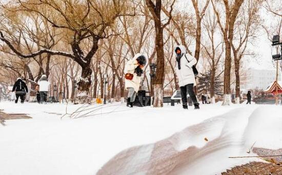 哈尔滨遭今年第一场暴风雪袭击 街头积雪半米厚行人出行困难