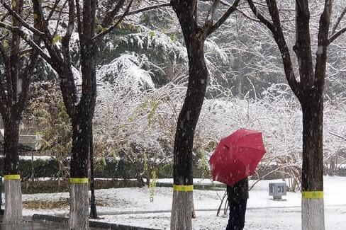 北京发布道路结冰黄色预警 今冬初雪来临较常年偏早8天