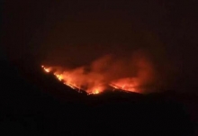 广西玉林市博白发生两处山火 现场火势凶猛照亮黑夜