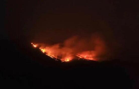 广西玉林市博白发生两处山火 现场火势凶猛照亮黑夜