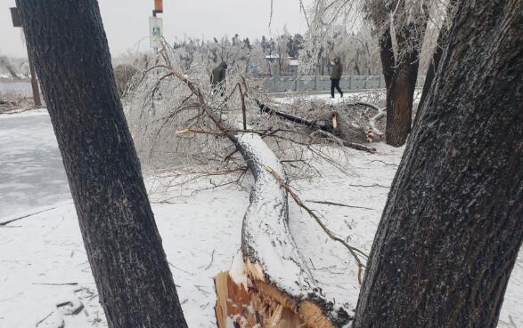 吉林遭遇强雨雪冰冻大风天气 省内部分输电线路电塔折断