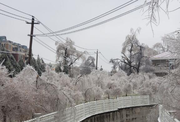 吉林遭遇强雨雪冰冻大风天气 省内部分输电线路电塔折断