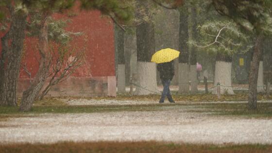 受雪后低温道路结冰影响 北京30条线公交路线采取临时措施