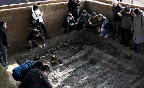 河南洛阳发现2600多年前戎人王级大墓 专家：证实戎人内迁伊洛事件
