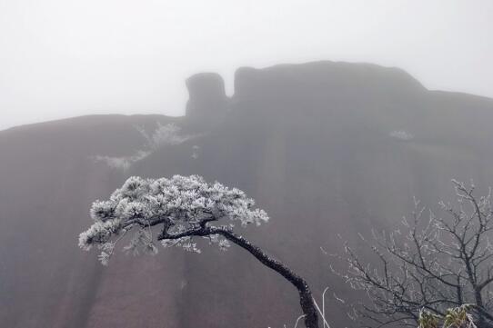 江西这3个地方已达入冬标准 庐山今冬首现雾凇景观