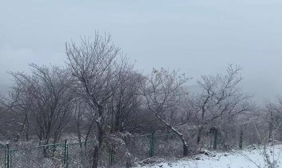 受雨雪天气影响 今日郑州汽车站总计停班44班