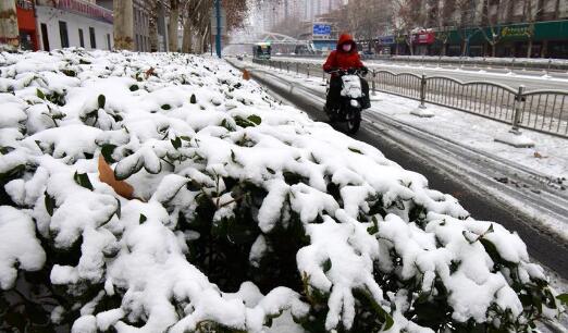 受雨雪天气影响 今日郑州汽车站总计停班44班