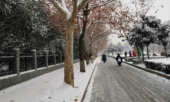 受强降雪的影响 河南境内39条高速路段交通管制