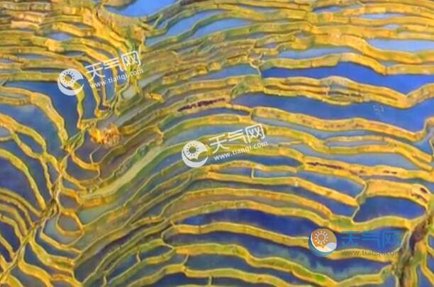 2021元旦云南旅游哪里好玩 元旦云南旅游必去的景点