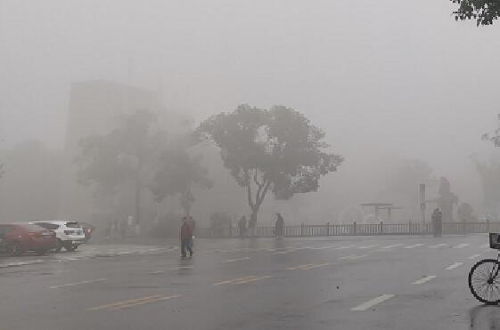 江苏发布大雾最高级别红色预警 多地区高速实行特级交通管制措施
