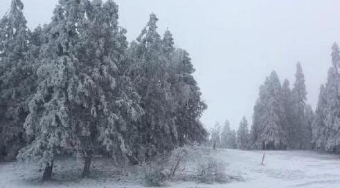 重庆部分山区有小到中雪 主城区最高气温仅10℃出头