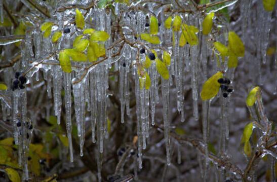 北方回暖受阻气温普遍0℃以下 西南华南部分地区冻雨添困扰