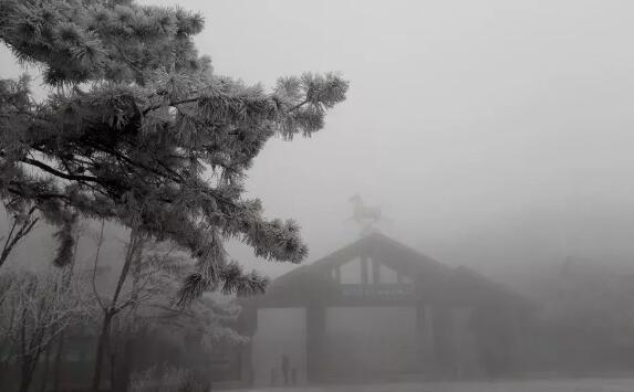 济南出现冰挂雾凇奇观是怎么回事 雾凇是怎样形成的