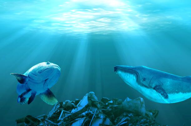 海洋污染的原因 海洋污染物的主要来源是什么