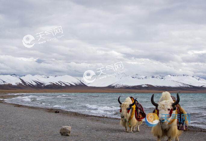 林芝现在的天气预报_(林芝最近一周天气预报)