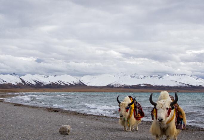1月份适合去哪里游玩 适合1月份旅游的城市