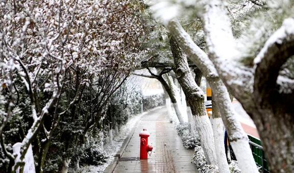 2020寒潮最新消息：28日起新强冷空气携带雨雪来袭