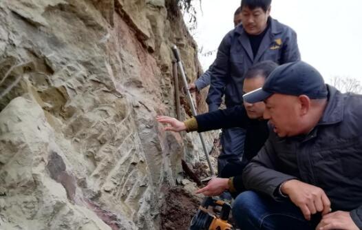 四川自贡现恐龙化石是怎么回事 专家：该化石距今大约1.6亿年