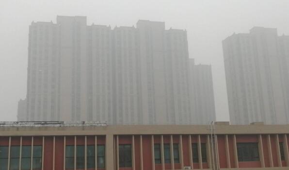 受大雾天气影响 郑州汽车站停发班次94班