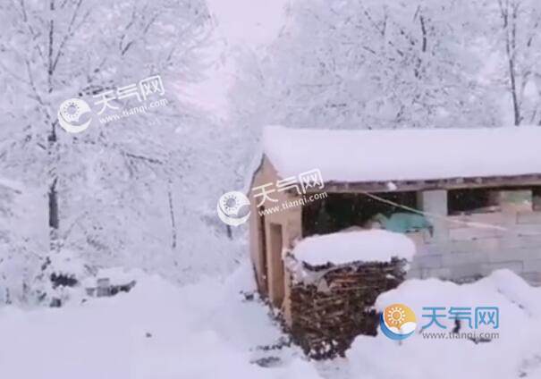 2021形容天气寒冷的句子 天气寒冷的唯美句子简短