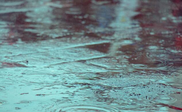 小寒节气上海有小降温降雨 强冷空气明日到达将现雨夹雪