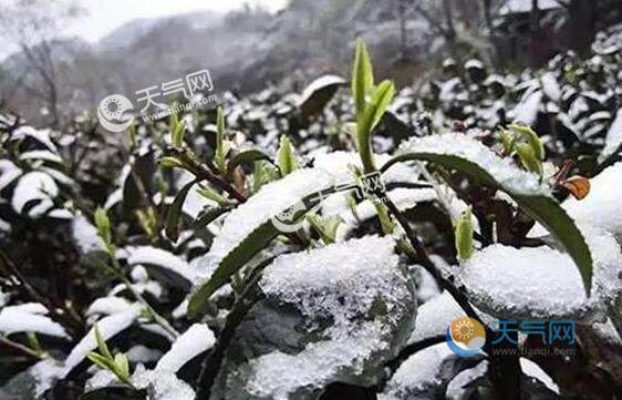 全国冻哭预警地图出炉 这10个省份的小伙伴要注意了