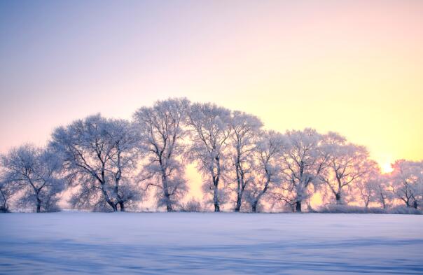 1月份情侣适合去哪里旅游 1月情侣旅游唯美浪漫的地方