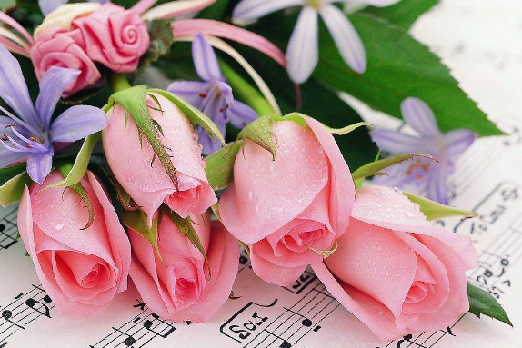 2021年情人节是几月几号 2021年情人节是2月14日吗